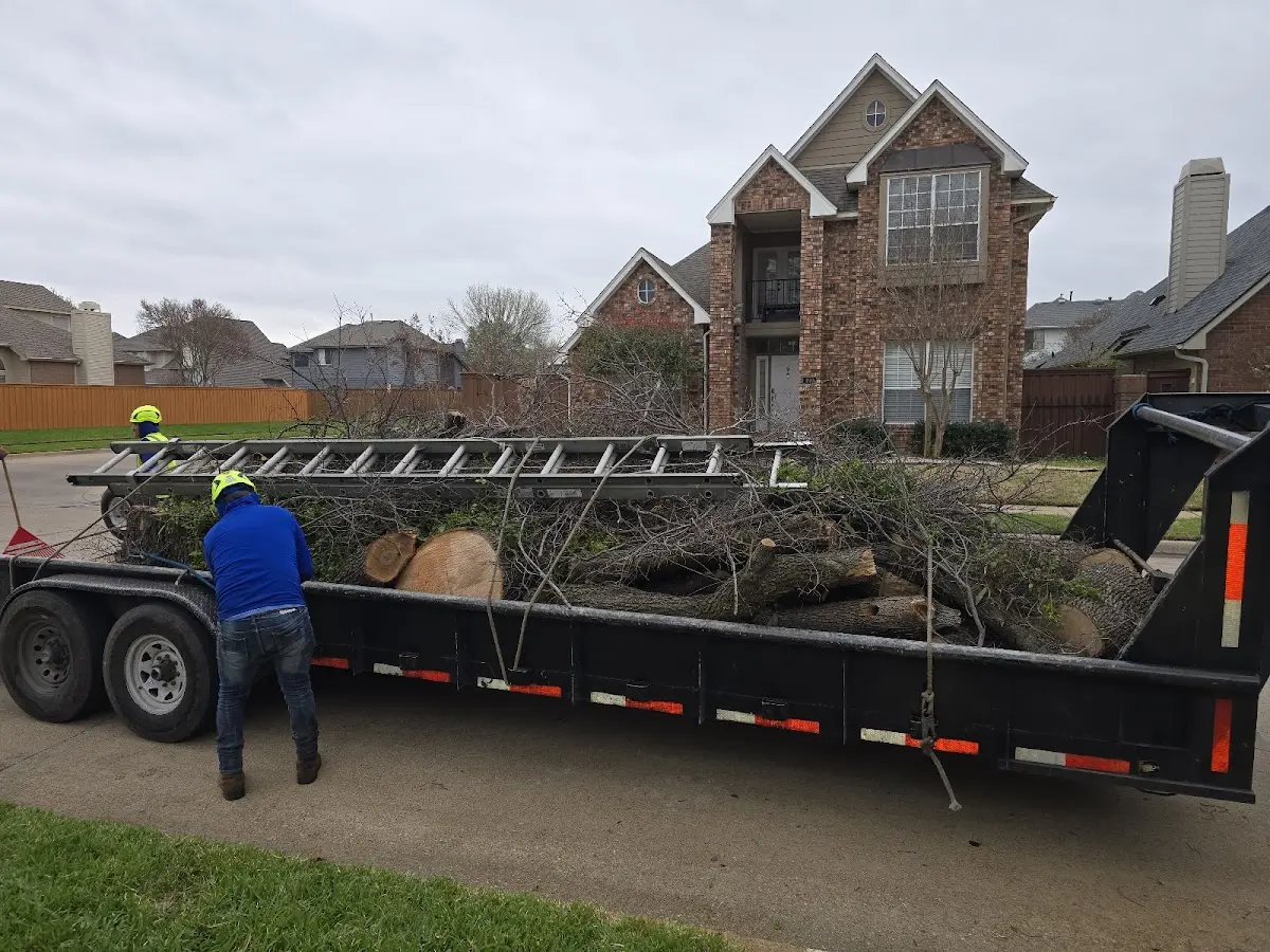 Expert Lot Clearing with proper safety equipment in Chadwick